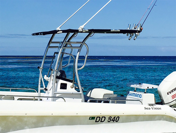Promotion! Dolphin Pro2 Center - Fishing Rod Boat 评论和价格