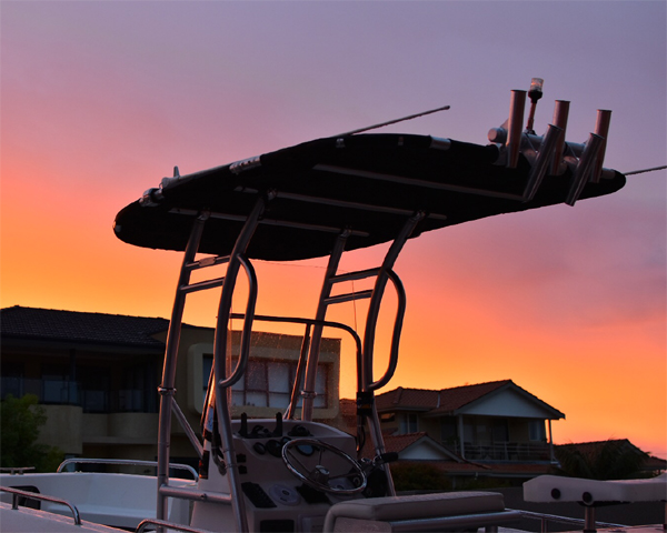Promotion! Dolphin Pro2 Center - Fishing Rod Boat 评论和价格